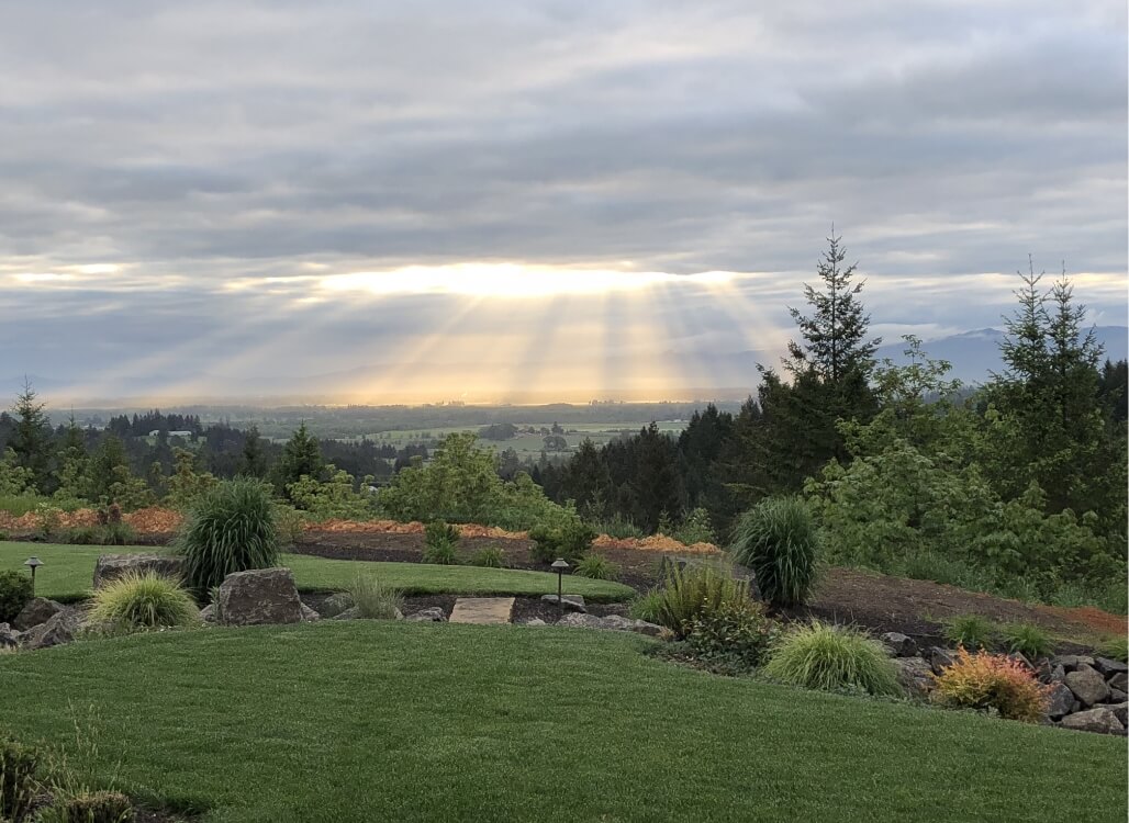 Tourliver University